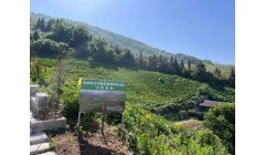 科技赋能农业发展，科研助力乡村振兴
