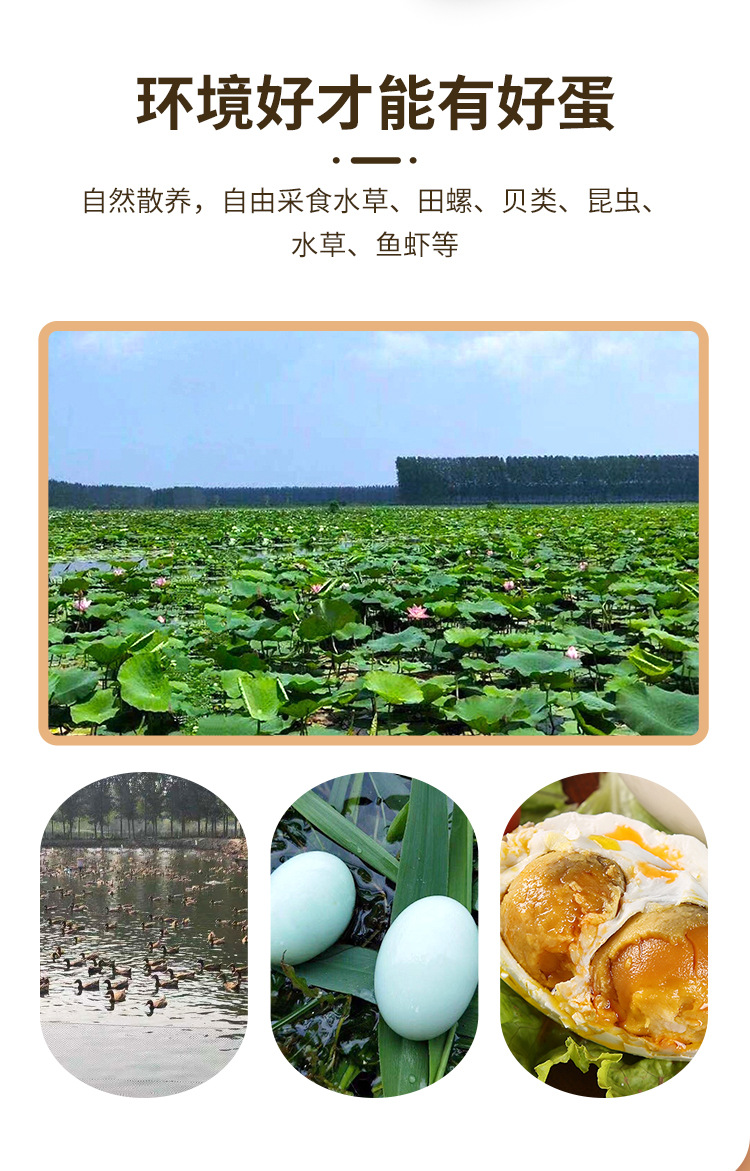 双黄咸鸭蛋_03.jpg