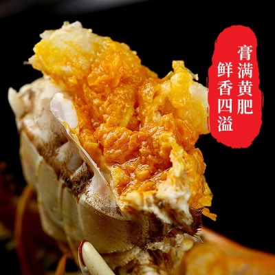 水产大闸蟹 水产现货海鲜螃蟹鲜活一件代发批发跨境批发现货鲜活图3