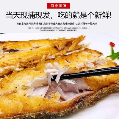 厂家批发南海鳘鱼海捕深海米鱼切片鳘鱼中段冷冻轻食国产生鲜鱼类
