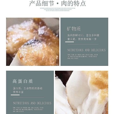 厂家批发南海鳘鱼海捕深海米鱼切片鳘鱼中段冷冻轻食国产生鲜鱼类图3