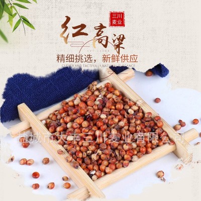 产地货源散装红高粱带皮高粱米未脱皮高粱酿酒原料现货批发