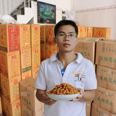 广西博白桂圆肉香甜无核 新货石硖桂圆肉桂圆干厂家现货批发图3