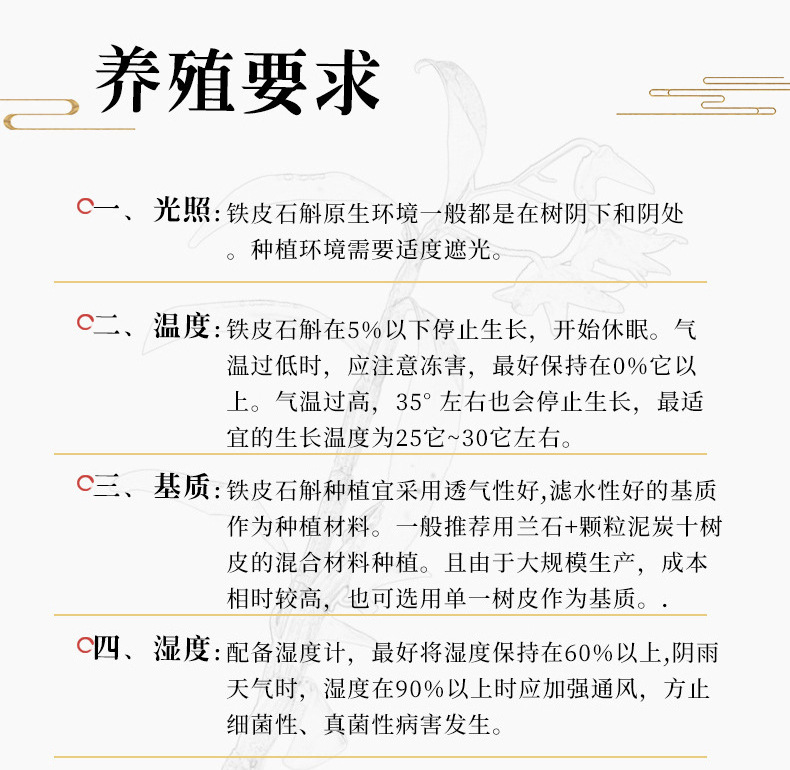 铁皮石斛盆栽_18.jpg