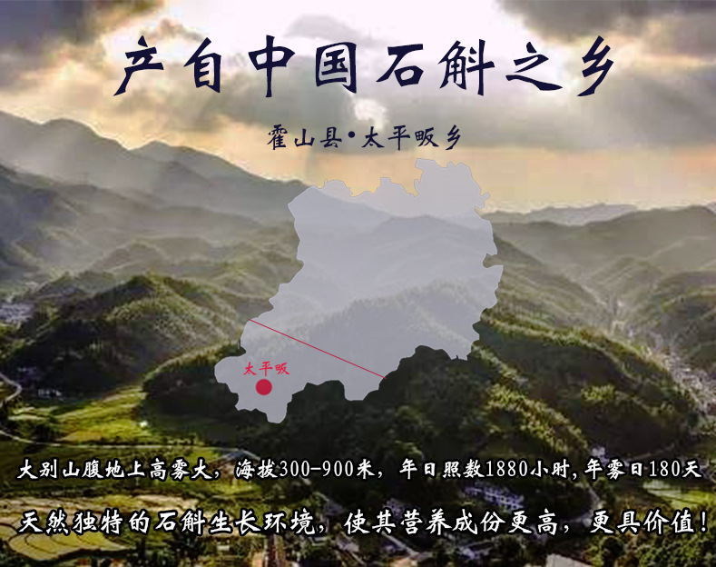 详情10
