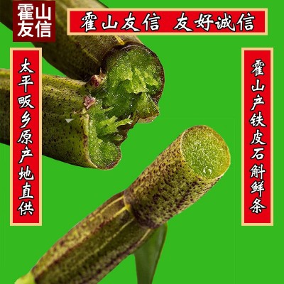 安徽霍山铁皮石斛鲜条基地新鲜采摘大山种植4年产地现剪现发礼品图2