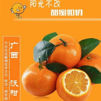 沃柑广西沃柑新鲜纯甜橘子时令水果桔子应季水果新鲜有机沃柑直供图1