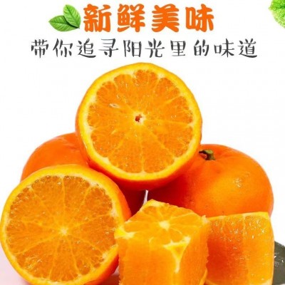 广西沃柑当季新鲜水果甜有机正宗精选沃柑现摘出口东南亚缅甸商超图2