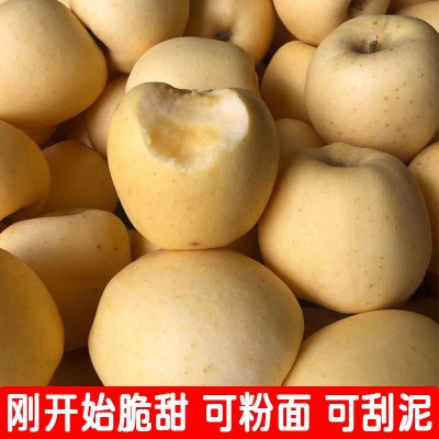 山东维纳斯黄金苹果新鲜水果当季整箱现摘奶油富士冰糖心丑苹果图3