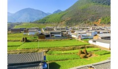 南部农业区农业生产特点