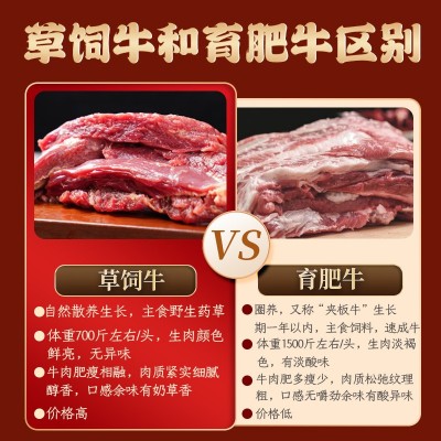 京蒙草原 内蒙卤牛肉熟牛肉休闲零食小包装五香酱牛肉批发图3