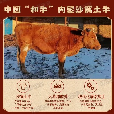 首菜首家内蒙黄膘牛肋排骨斤/件冷冻食品牛软排牛大排牛肉图1