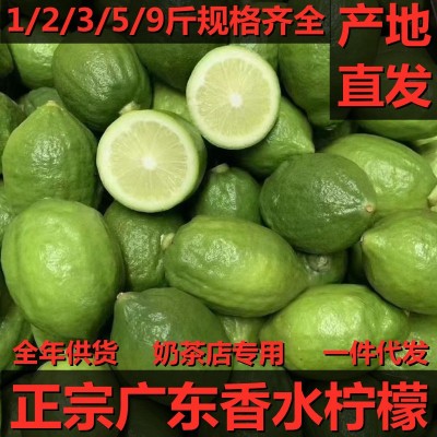 正宗广东香水柠檬12/3/5/9斤无籽青柠奶茶店专用新鲜水果整箱批发图1