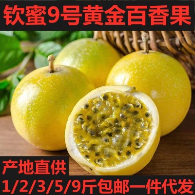 【极速发货】广西钦蜜9号黄金百香果1/3/5/9斤大中小新鲜整箱水果图5