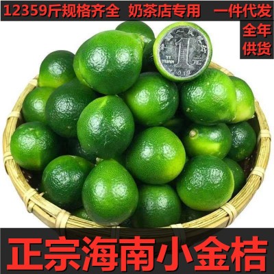 【极速发货】正宗海南小金桔12/3/5/9斤奶茶店专用青柠檬新鲜整箱图1