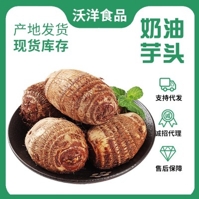批发山东奶油小芋头 代发5斤香糯毛芋头农家自种新鲜蔬菜图2
