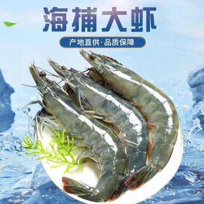 海水大虾鲜活海鲜超大青岛海虾冷冻白虾冻虾商用整箱批发基围虾