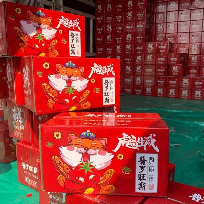批发海阳普罗旺斯西红柿新鲜现货沙瓤西红柿放心蔬菜番茄图5