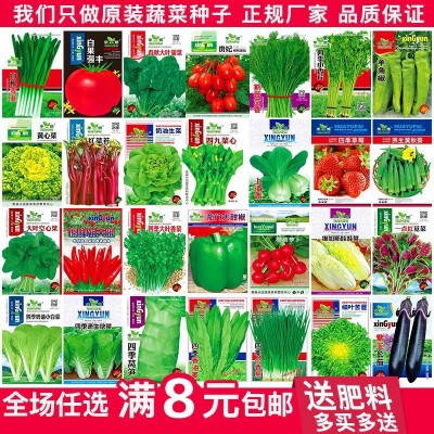 蔬菜种子四季播盆栽阳台庭院香菜青菜萝卜生菜小葱菠菜籽孑大全图3