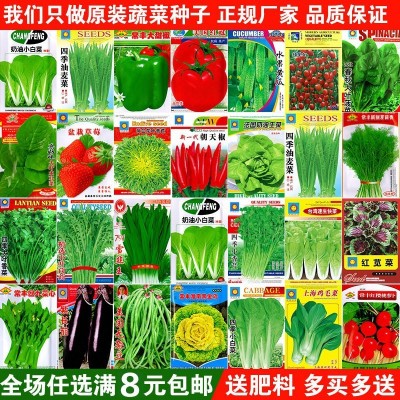 蔬菜种子四季播盆栽阳台庭院香菜青菜萝卜生菜小葱菠菜籽孑大全图2