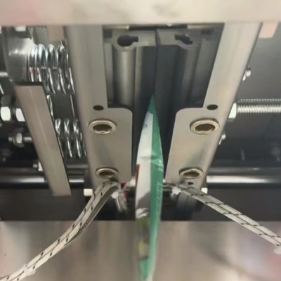 家用种子小包装组合代发四季通用易种家庭园艺花种子厂家阳台花籽图2