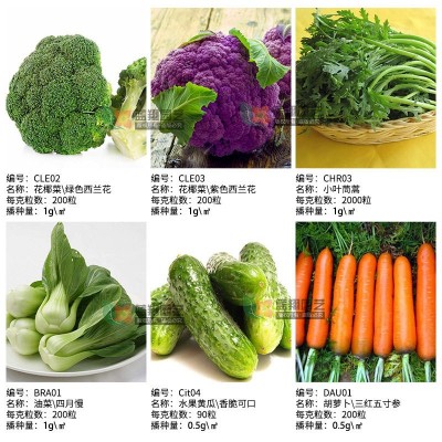 批发蔬菜种子各种菜园花籽椰菜茼蒿水果黄瓜萝卜冬瓜苦菊生 菜种子图4
