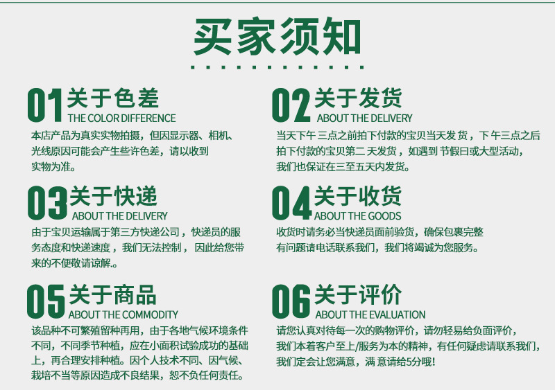 791宽叶雪韭--详情页-800_09.jpg