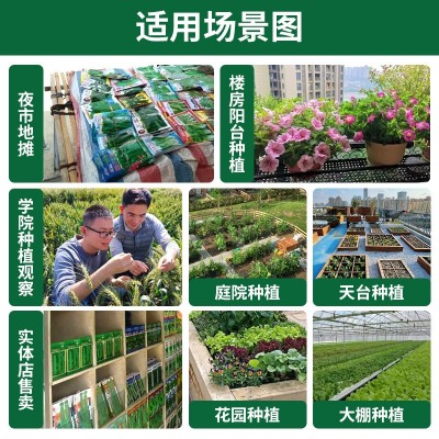 厂家四季蔬菜种子批发大全家庭菜园阳台盆栽蔬菜水果种籽水 培菜籽图4