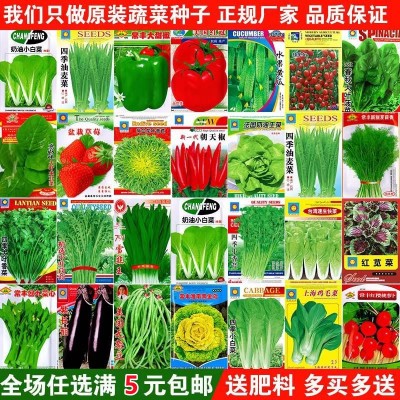 蔬菜种子香菜籽四季阳台盆栽生菜番茄萝卜上海青菠菜种籽孑 子大全图2