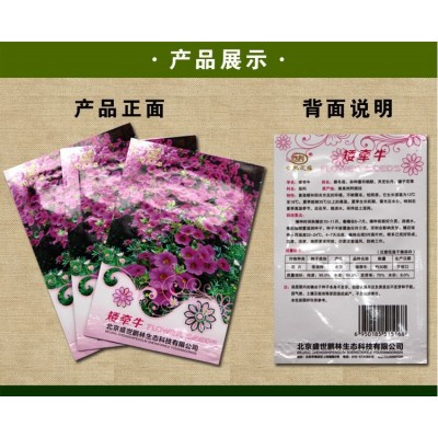批发彩包矮牵牛种子供应各种草种菜种家庭园艺四季易种盆栽花种图4
