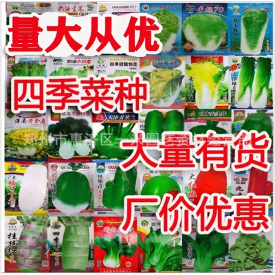 厂价批发四季蔬菜种子秋冬季菜种子萝卜白菜农家原装菜种籽地摊菜图2