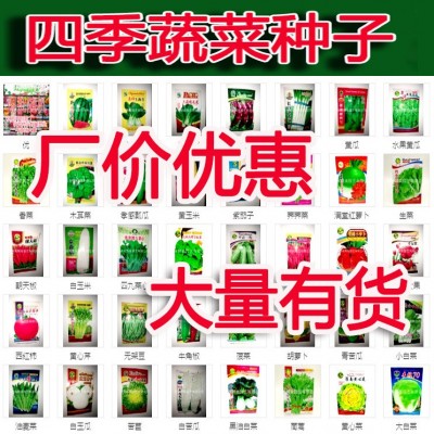 厂家批春季农家菜园种植 菜种子彩袋装地摊黄瓜水果蔬菜种子大全图2