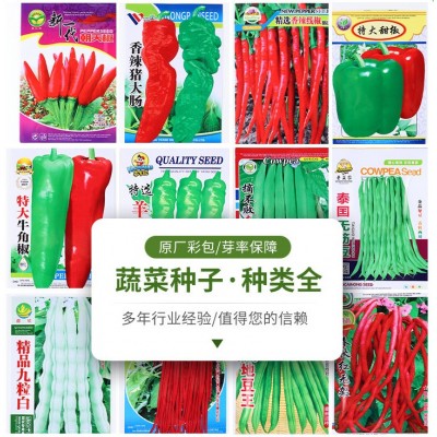 厂家批春季农家菜园种植 菜种子彩袋装地摊黄瓜水果蔬菜种子大全图4