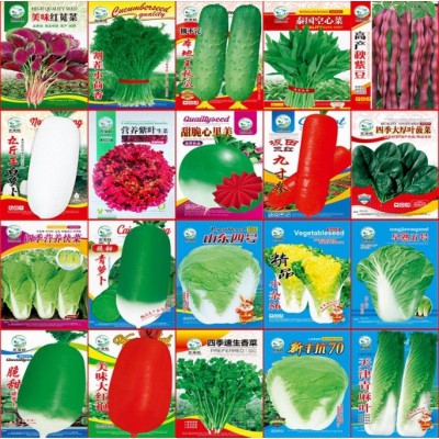 厂家批春季农家菜园种植 菜种子彩袋装地摊黄瓜水果蔬菜种子大全图3