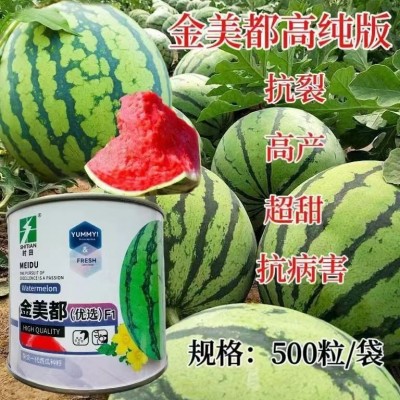 【正品保证】金美都西瓜种子早熟高产抗病红瓤超甜西瓜种籽农家春图3