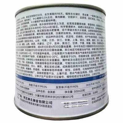【正品保证】金美都西瓜种子早熟高产抗病红瓤超甜西瓜种籽农家春图2
