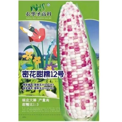 彩甜糯玉米种子密花甜糯12号国审鲜食大棒花玉米种籽春秋季苞米种图3