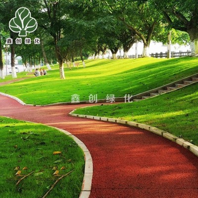 草坪种子狗牙根草籽四季青蓝标黑麦草宽叶草种白三叶高羊茅剪股颖图4