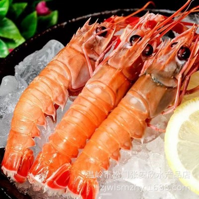 国产海鳌虾鲜活刺身鲜活速冻非新西兰螯虾新鲜餐饮生鲜日料自助虾