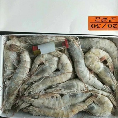 批发 厄瓜多尔白虾盐冻虾进口 桑塔南美对虾海水虾商用可 一件代图5
