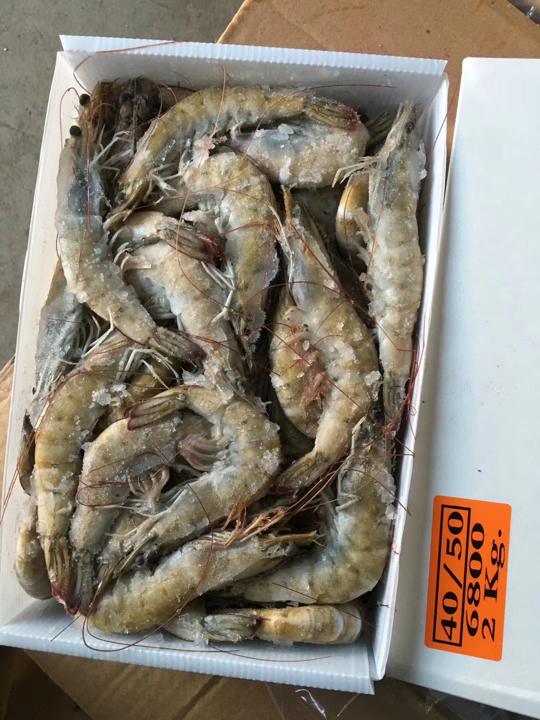 mmexport1540905719072