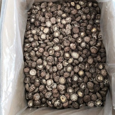 陕西秦岭花菇南北干货干香菇冬菇剪腿菌菇农产品产地批发一件代发图3