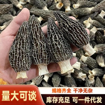 羊肚菌批发干货云南原产地头茬新货快手抖音直播同款菌菇汤料代发