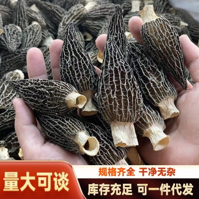 羊肚菌 批发干货云南原产地5-8cm头茬新货抖音直播同款菌菇代发图3