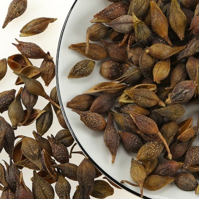 连翘青翘选货莲翘500g中药材正品贯叶果实片粉连翅莲翅青连翘批发图3