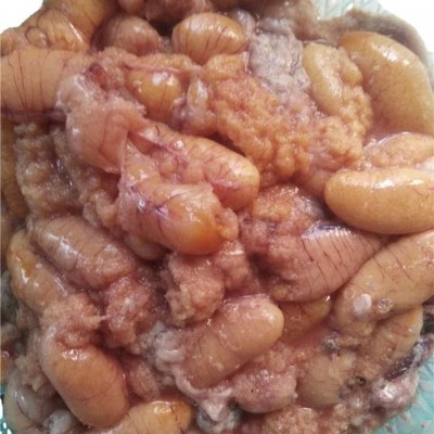 李芹活鱼 新鲜黑鱼鱼籽 冷冻鱼蛋 预制菜原材料 鱼杂火锅顺丰包邮图3