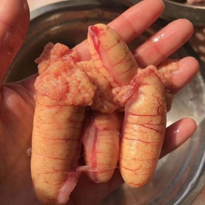 李芹活鱼 新鲜黑鱼鱼籽 冷冻鱼蛋 预制菜原材料 鱼杂火锅顺丰包邮图2