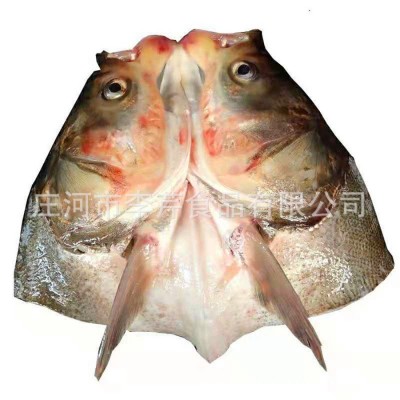 李芹活鱼 东北花鲢鱼头/黑鲢鱼头/剁椒鱼头原料/新鲜鱼头/包邮图5