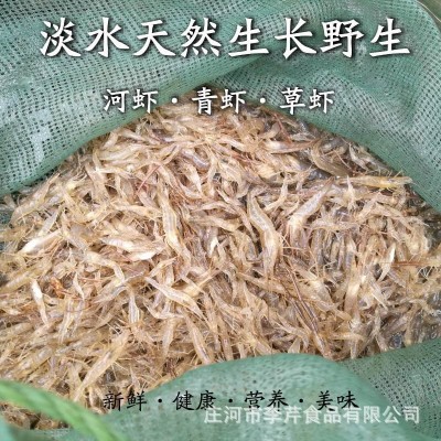 李芹活鱼 批发商用新鲜小河虾 香酥可口 淡水河虾包邮速冻河虾图3