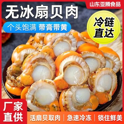 冷冻海鲜批发厂家供应商用饭店扇贝肉海鲜店水产冷链新鲜扇贝肉
